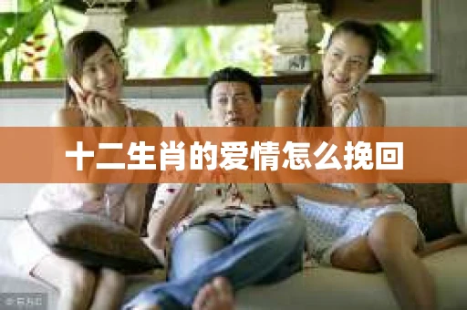 十二生肖的爱情怎么挽回 十二生肖的爱情怎么挽回