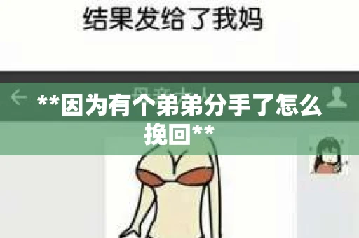 **因为有个弟弟分手了怎么挽回**