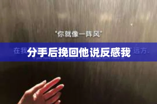 分手后挽回他说反感我