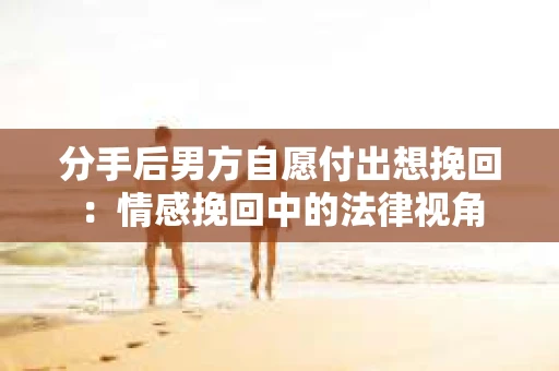 分手后男方自愿付出想挽回：情感挽回中的法律视角