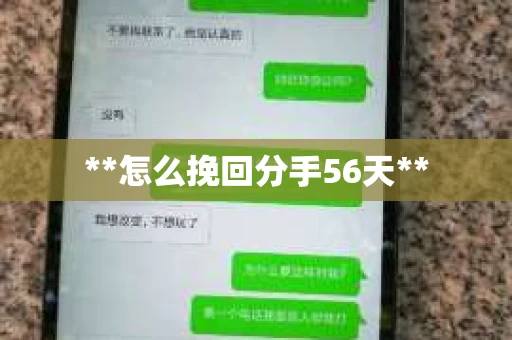 **怎么挽回分手56天**