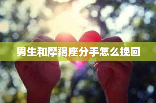 男生和摩羯座分手怎么挽回