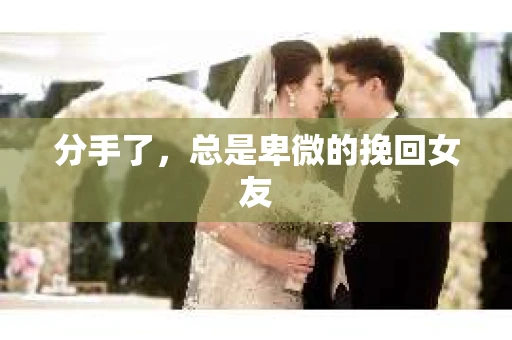 分手了，总是卑微的挽回女友