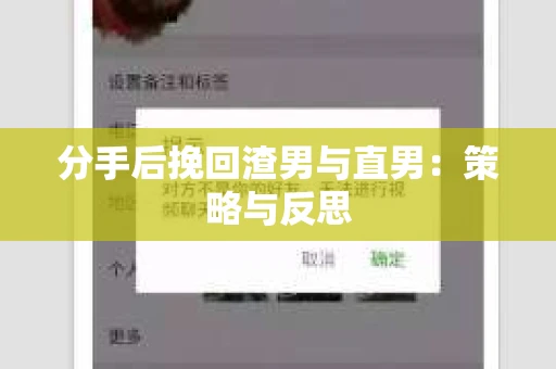 分手后挽回渣男与直男：策略与反思
