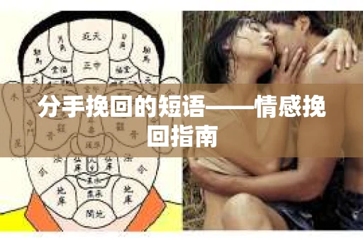 分手挽回的短语——情感挽回指南