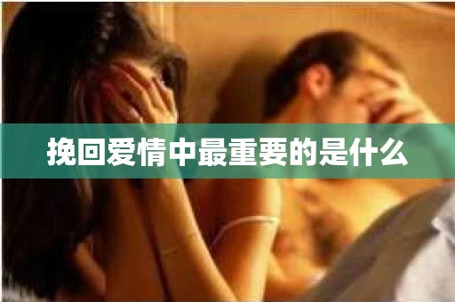 挽回爱情中最重要的是什么