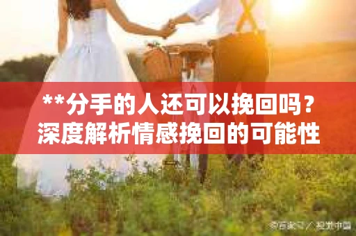 **分手的人还可以挽回吗？深度解析情感挽回的可能性**