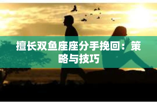 擅长双鱼座座分手挽回：策略与技巧