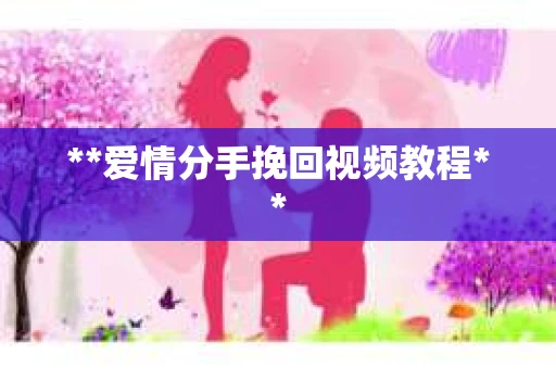 **爱情分手挽回视频教程**