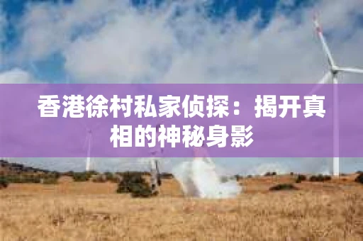 香港徐村私家侦探：揭开真相的神秘身影