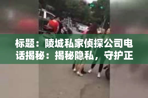 标题：陵城私家侦探公司电话揭秘：揭秘隐私，守护正义