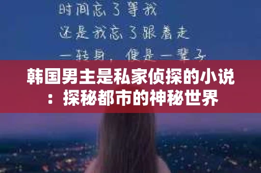 韩国男主是私家侦探的小说：探秘都市的神秘世界