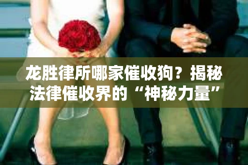 龙胜律所哪家催收狗？揭秘法律催收界的“神秘力量”