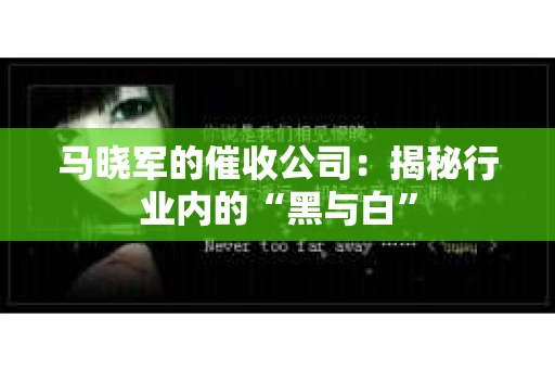 马晓军的催收公司：揭秘行业内的“黑与白”