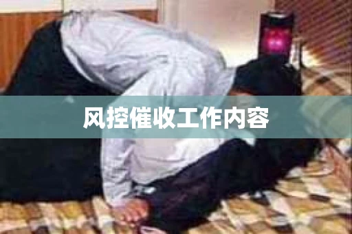 风控催收工作内容