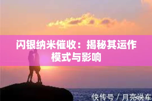 闪银纳米催收：揭秘其运作模式与影响