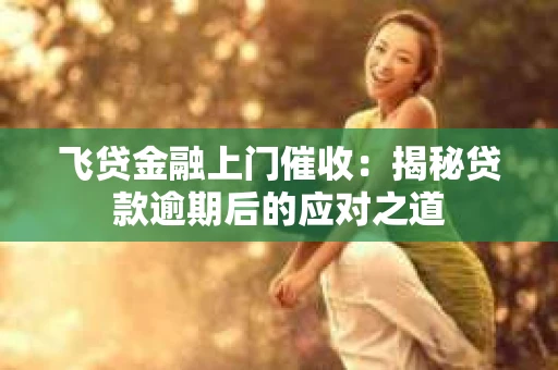 飞贷金融上门催收：揭秘贷款逾期后的应对之道