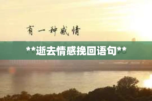 **逝去情感挽回语句**