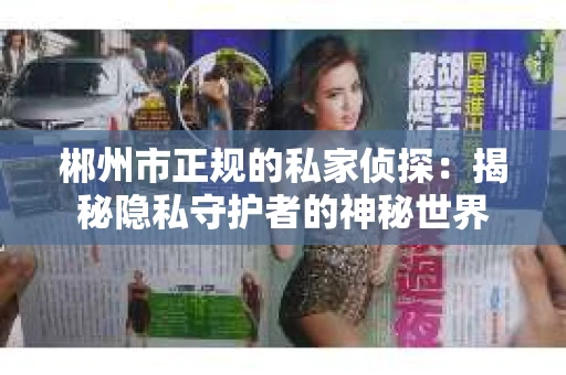 郴州市正规的私家侦探：揭秘隐私守护者的神秘世界