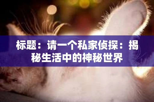 标题：请一个私家侦探：揭秘生活中的神秘世界
