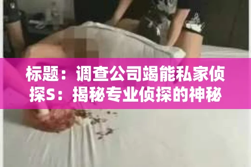 标题：调查公司竭能私家侦探S：揭秘专业侦探的神秘世界