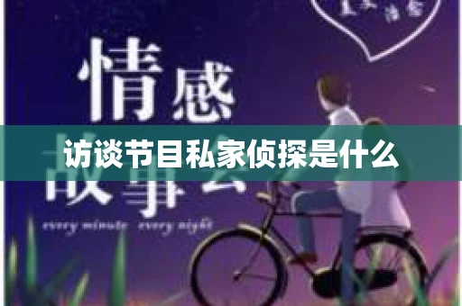 访谈节目私家侦探是什么