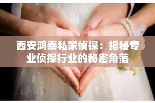 西安鸿泰私家侦探：揭秘专业侦探行业的秘密角落