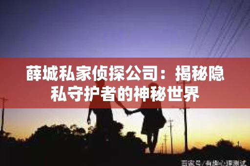 薛城私家侦探公司：揭秘隐私守护者的神秘世界