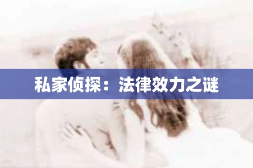 私家侦探：法律效力之谜