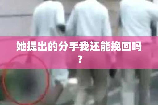 她提出的分手我还能挽回吗？