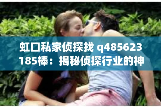 虹口私家侦探找 q485623185棒：揭秘侦探行业的神秘面纱