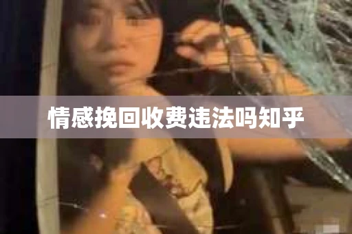 情感挽回收费违法吗知乎