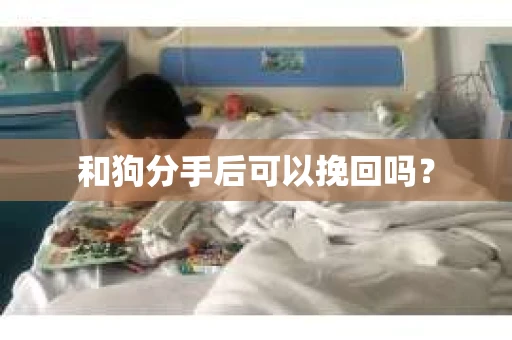 和狗分手后可以挽回吗？