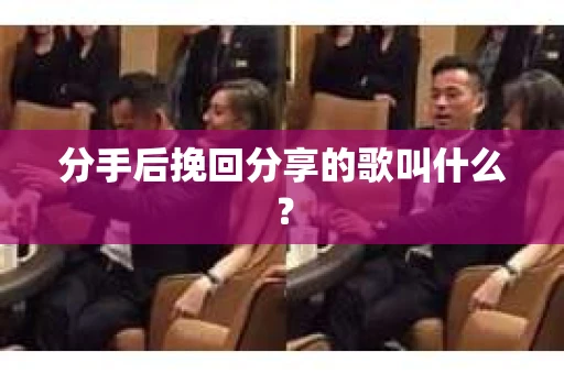 分手后挽回分享的歌叫什么？