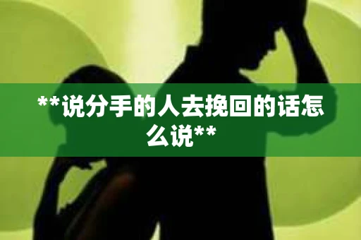 **说分手的人去挽回的话怎么说**