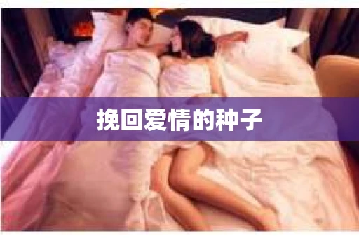 挽回爱情的种子