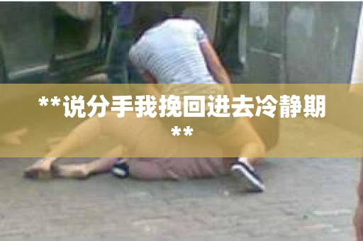 **说分手我挽回进去冷静期**