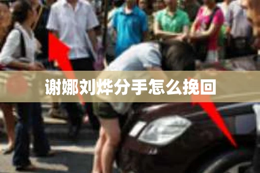 谢娜刘烨分手怎么挽回 谢娜刘烨分手怎么挽回