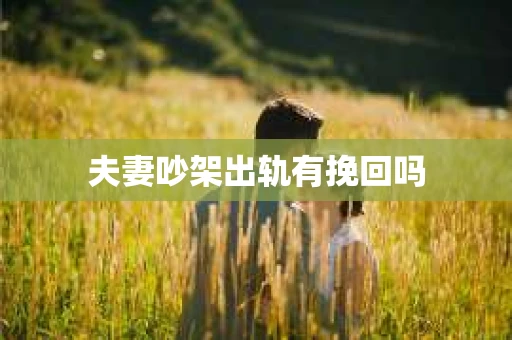 夫妻吵架出轨有挽回吗