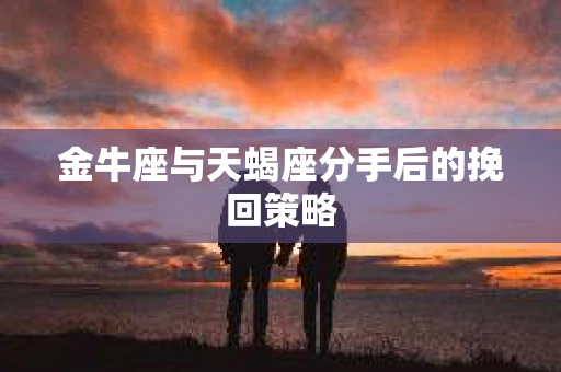 金牛座与天蝎座分手后的挽回策略